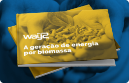 Conheça a geração de energia por Biomassa